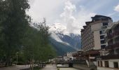 Randonnée Marche Chamonix-Mont-Blanc - Les Praz de Chamonix à Chamonix gare - Photo 2