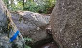 Randonnée Marche Fontainebleau - Fontainebleau sentier Denecourt 10 - Photo 16