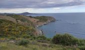 Trail Walking Banyuls-sur-Mer - banyuls cap rederis - Photo 2