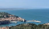 Randonnée Marche Collioure - autour de Collioure a travers les vignes - Photo 7