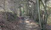 Trail Walking Visé - A travers les bois et étangs de la julienne 🥾 - Photo 6