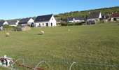 Tour Wandern Sotteville-sous-le-Val - 20260407-sotteville sous le val cool - Photo 13