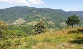 Randonnée Marche Villé - Le massif de la Honel - Photo 11