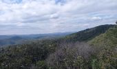 Randonnée Marche Cendras - Vallée du Galeizon et crétes de Moncalm - Photo 13