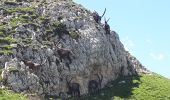 Tocht Noords wandelen Saint-Michel-les-Portes - Tour de Peyre Rouge - Photo 7