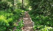 Trail Walking Tongeren - Promenade dans la réserve naturelle de Kevie - Photo 1