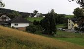 Tour Zu Fuß Burgthann - Burgthann 7 - Photo 10