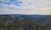 Trail Walking Bertrix - rando auby sur semois 14-03-2024 - Photo 4