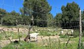 Percorso  Calvisson - Balade entre Calvisson et Aigues Vives - Photo 15