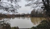 Tocht Stappen Woking - Lac de Goldsworth park par le canal  - Photo 3