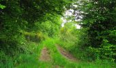 Tour Wandern Coyolles - en forêt de Retz_78_les rayons du Rond Capitaine - Photo 16