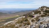 Tour Wandern Plan-d'Aups-Sainte-Baume - La Sainte Baume - Riboux - La Cabre - Photo 8