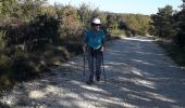 Tocht Stappen Montjoyer - le rangeais  - Photo 5