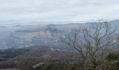 Trail Walking Courmes - Puy de Tourrettes et pic de Courmes  - Photo 3