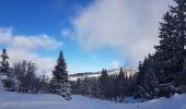Trail Snowshoes Lans-en-Vercors - Le Belvédère des Cimes par la cabane des Ramées et retour par la Croix des Ramées  - Photo 7