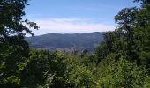 Trail Walking Sentheim - Buchberg - Rocher du Poilu  - Photo 6