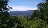 Randonnée Marche Sentheim - Buchberg - Rocher du Poilu  - Photo 6