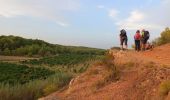 Tour Wandern Castelnau-de-Guers - nuit  - Photo 7