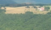 Trail Walking Mouthier-Haute-Pierre - Mouthier Haute Pierre 21 juillet 2020 CAF - Photo 15