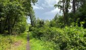 Trail Walking Sint-Gillis-Waas - De Klinge 21,9 km - Photo 13