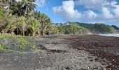 Percorso Marcia Unknown - Plage de Grande Anse Le Lorrain - Photo 12