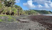 Randonnée Marche Unknown - Plage de Grande Anse Le Lorrain - Photo 12