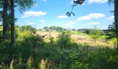 Trail Walking Trois-Ponts - logbierme 060824 - Photo 7