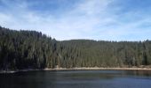 Randonnée Marche Le Valtin - gazon du faing . tanet . lac vert . lac du forêt . gazon du faing - Photo 16