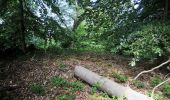 Tocht Te voet Rockenhausen - Rundwanderweg Rockenhausen: Rund um den Wachthübel - Photo 2