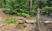 Trail Walking Saint-Dié-des-Vosges - col de la Crenee roche corbeau camp Celtique  - Photo 2