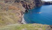 Trail Walking Caniçal - Madère : la presqu'île de Sao Lourenço - Photo 6