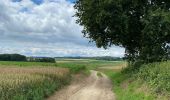 Tocht Stappen Tervuren - Le long du Voer - Photo 12