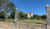 Randonnée A pied Saint-Laurent-du-Verdon - Chappelle Notre-Dame-du-Verdon - Photo 4