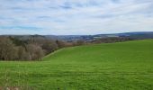 Trail Walking Bertrix - Auby sur Semois 140324 - Photo 3