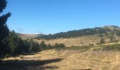 Tour Wandern Font-Romeu-Odeillo-Via - Les airelles llobins - Photo 2