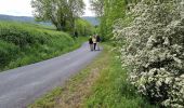 Tocht Stappen Alleyras - Vallées 2 - Photo 1