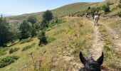 Trail Horseback riding Ansó - Anso - Isaba - Photo 13