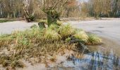 Randonnée A pied Wedel - Planetenlehrpfad Wedel - Photo 10