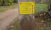 Trail Walking Nant - Nant-Causse Begon-St Jean du Bruel - Photo 15