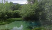 Trail Walking Saint-Jean-de-Buèges - St Jean de Buèges  - Photo 12