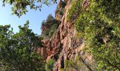 Randonnée Marche Ota - Gorge de spelunca  - Photo 6