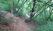 Trail Walking Liège - tour de Streupas par les petits chemins - Photo 2