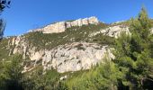 Trail Walking Gémenos - Col de Bertagne depuis l'espigoulier - Photo 19