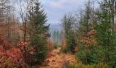 Tour Wandern Gedinne - Balade à la Croix-Scaille - Les Fanges de l'Abîme - Photo 6