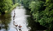 Randonnée Randonnée équestre Bertrix - BERTRIX FB : Chevaux et attelage sur les traces de la route de Madame d'Artagnan - Photo 1