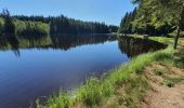 Tour Wandern La Chaise-Dieu - Sentier du Serpent d'Or  - Photo 15