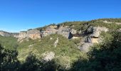 Tour Wandern Buoux - PF-Buoux - Sivergues - Le Vallon de l'Aigue Brun - Reco - 01.07.2021 - Photo 4