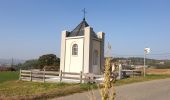 Tour Elektrofahrrad Ronse - Saint-Sauveur - Beausite - Photo 1