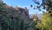 Trail Walking La Roquebrussanne - ROQUEBRUSANNE - Photo 19
