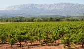 Tour Wandern Pourrières - Mont Olympe - Rocher de Onze Heures - Photo 1